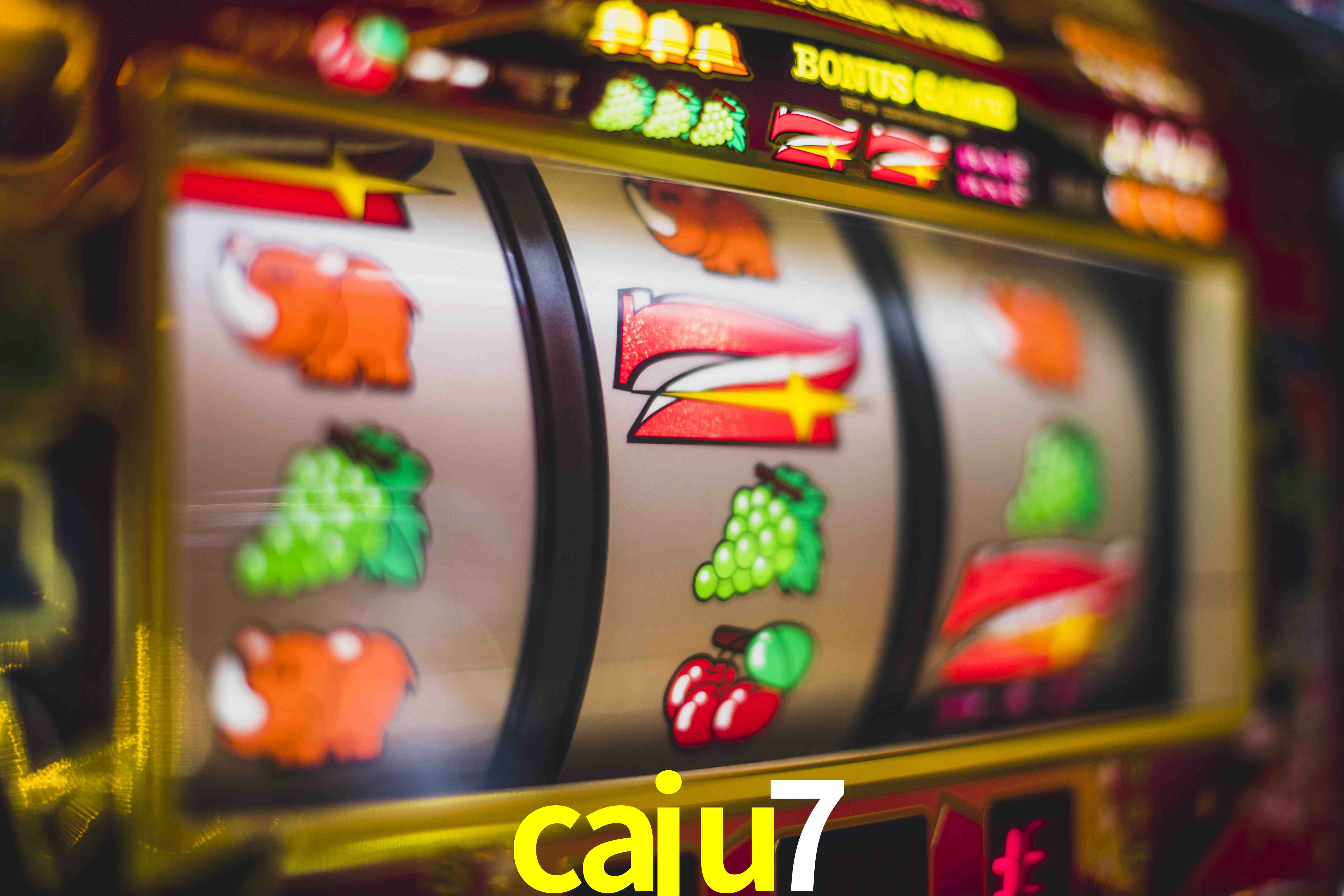 Experiência VIP caju7
