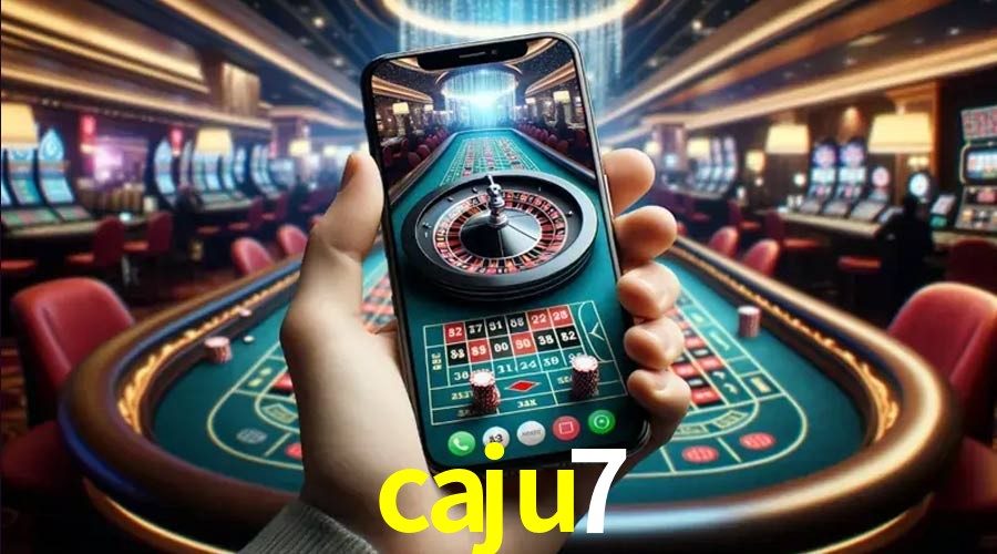 Security Systems caju7